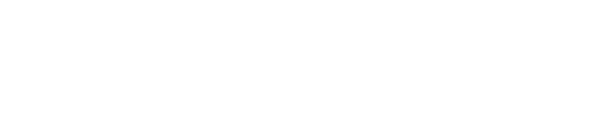 MICHAEL JASON BRANDT